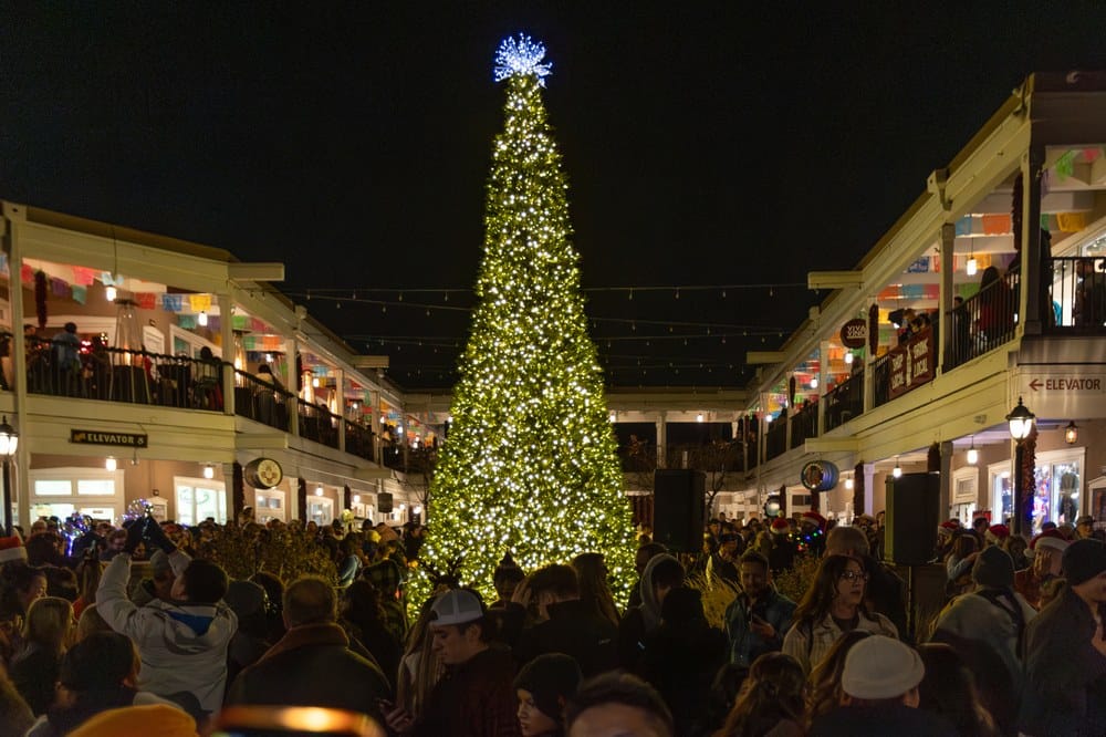 2024 OTHS- 6 A large crowd observing a large, lit Christmas tree in Albuquerque's Old Town.